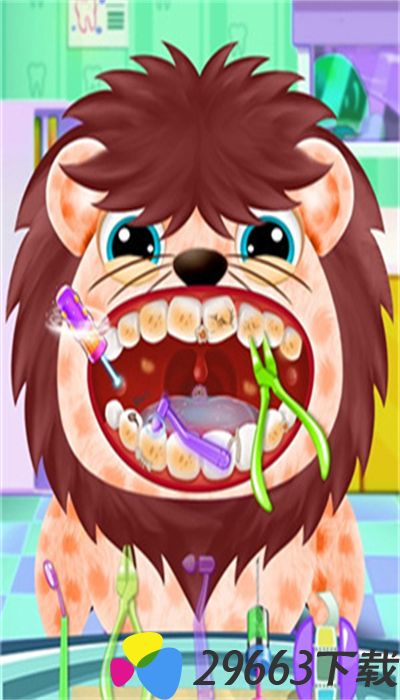 动物牙医护理游戏